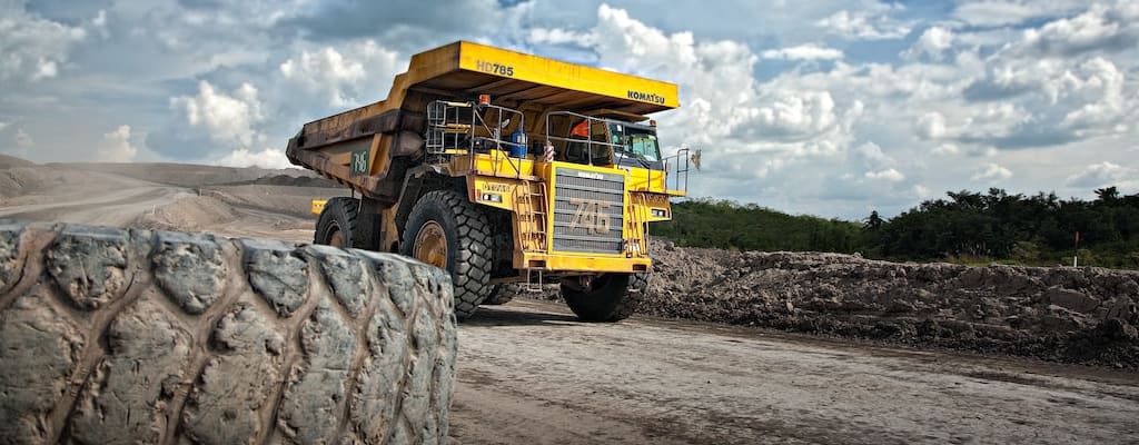 Miner's canary warns of danger and mining risks.