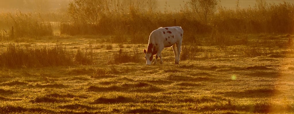 The sunrise brought a beautiful morning and daybreak.