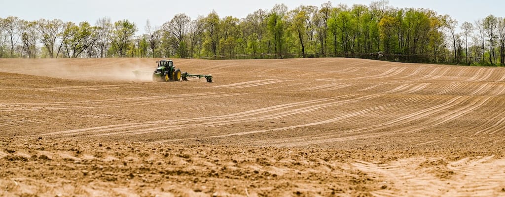 The native soil reflects the plant's origin and homeland.