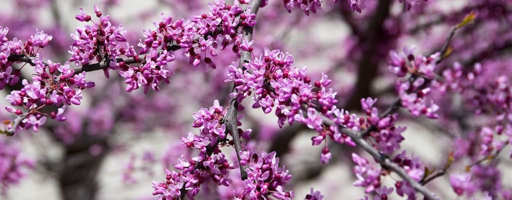 Never in a million years did I imagine this.