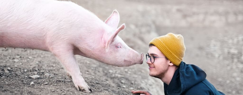 He wore pearls while dealing with swine.