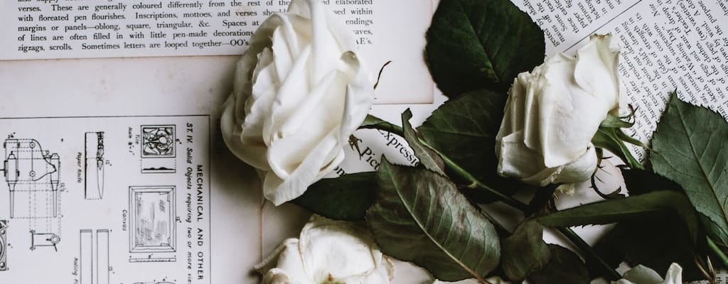Optimism is a rose-tinted lens for positive perspective.