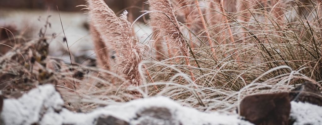 The slow uptake of new technologies hinders progress.