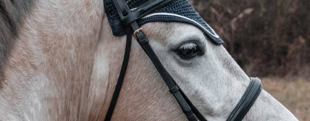 The rider struggled to get back on the horse after it bucked.