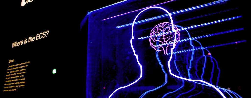 The psychology of social influence and mind control.