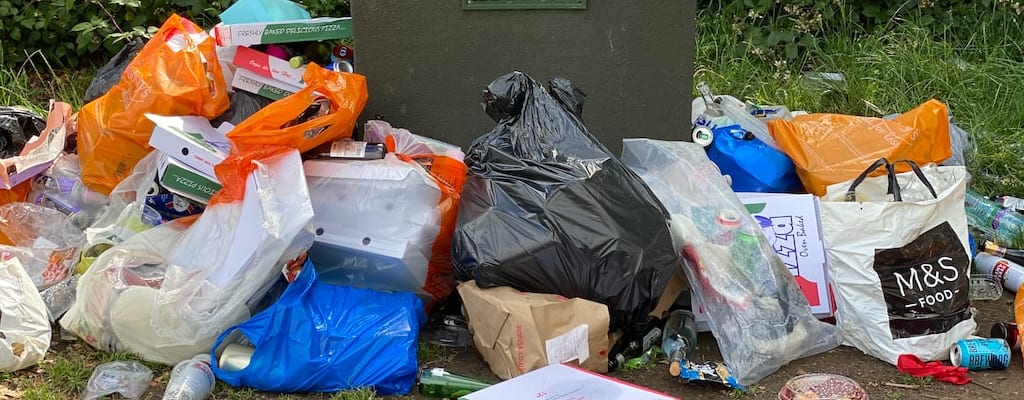 Pick up litter to keep the environment clean.