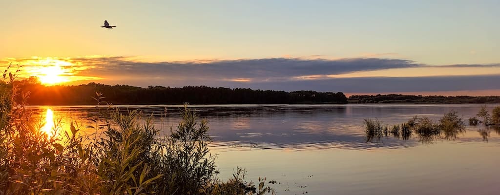 Obsession consumes the mind, residing rent-free.