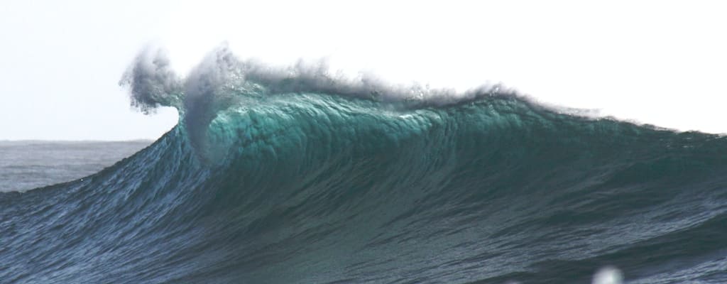 He dismissed her with a wave and a gesture.