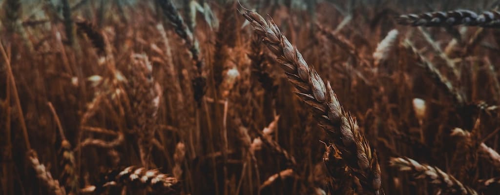 Separate the wheat from the chaff.