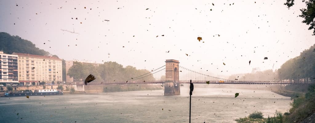 The wind caused the kite to twist and turn.