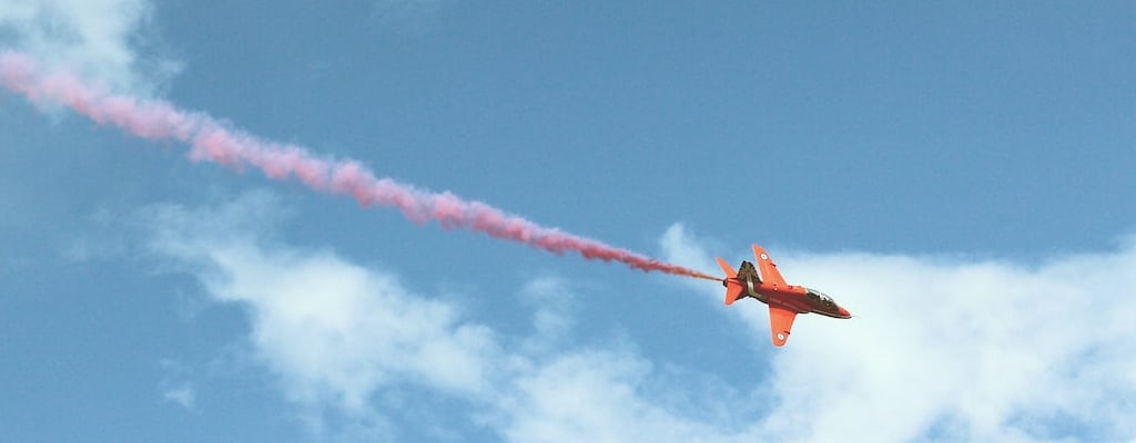 The cat wagged its tail, oblivious to the world.