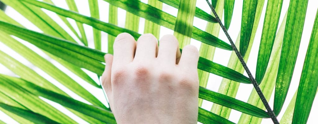 steady hand on the tiller: Idiom Meaning and Origin - The Village Idiom