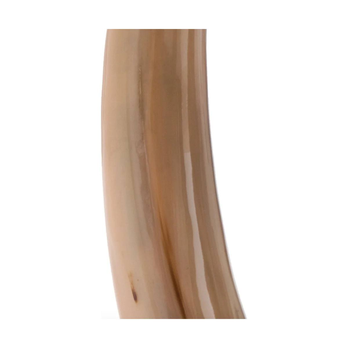Luxury Designer Ornament, Marble horns/tusks with  gold detailing at Luxuria London
