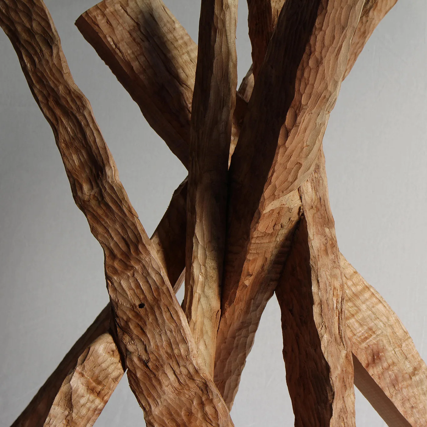 Amazzonia Round Table by Pietro Meccani