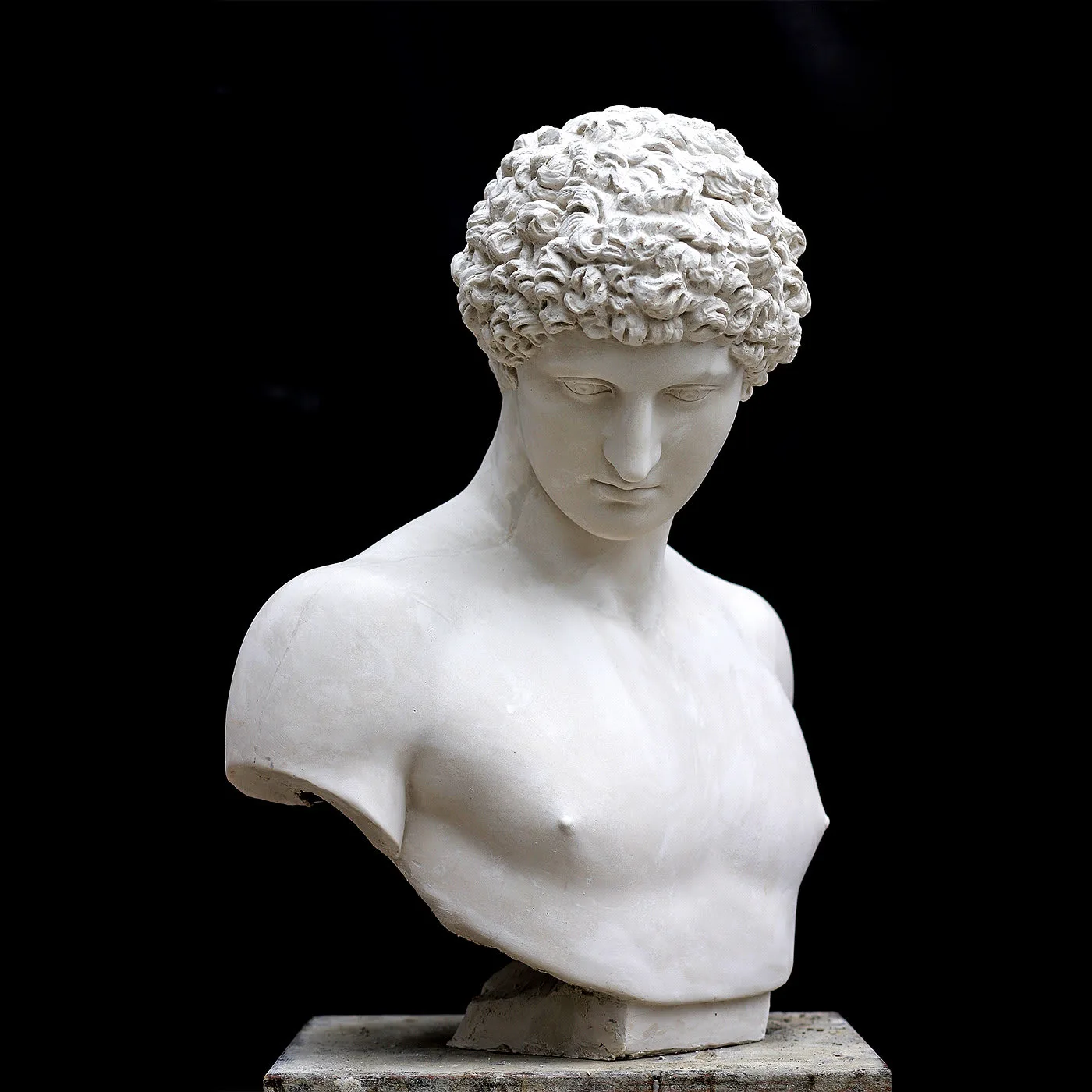 Antinous Plaster Bust