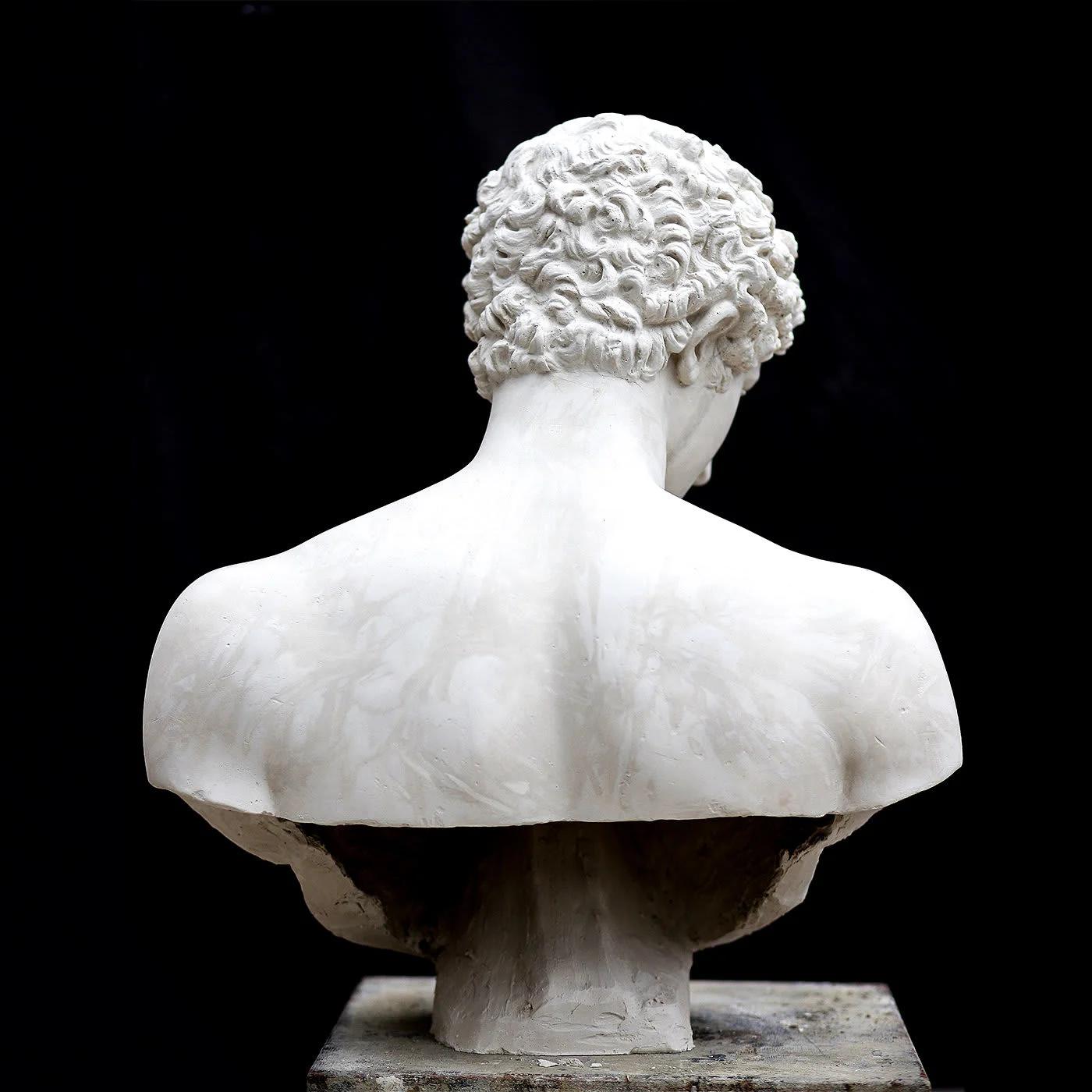 Antinous Plaster Bust