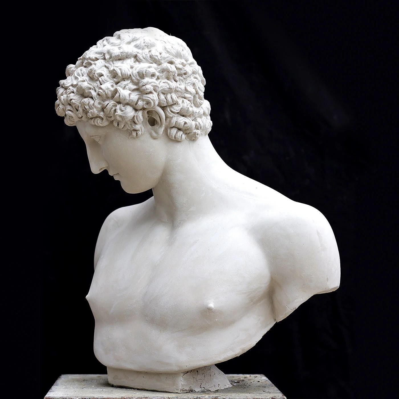 Antinous Plaster Bust