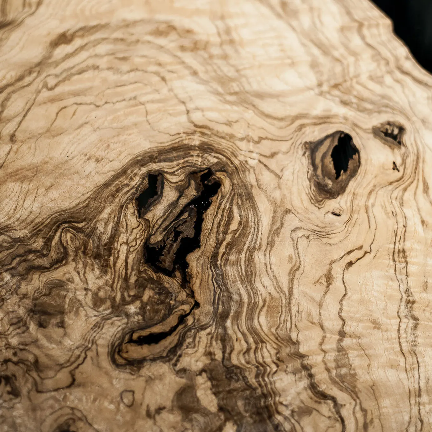 Fossile Oval Coffee Table