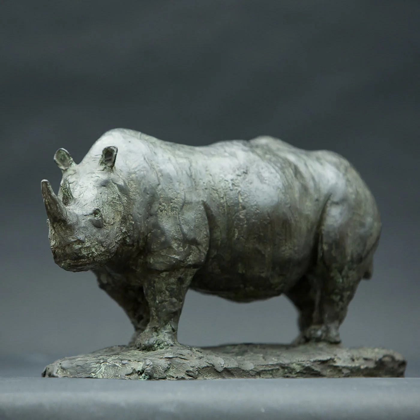 Rhinoceros Bronze Sculpture