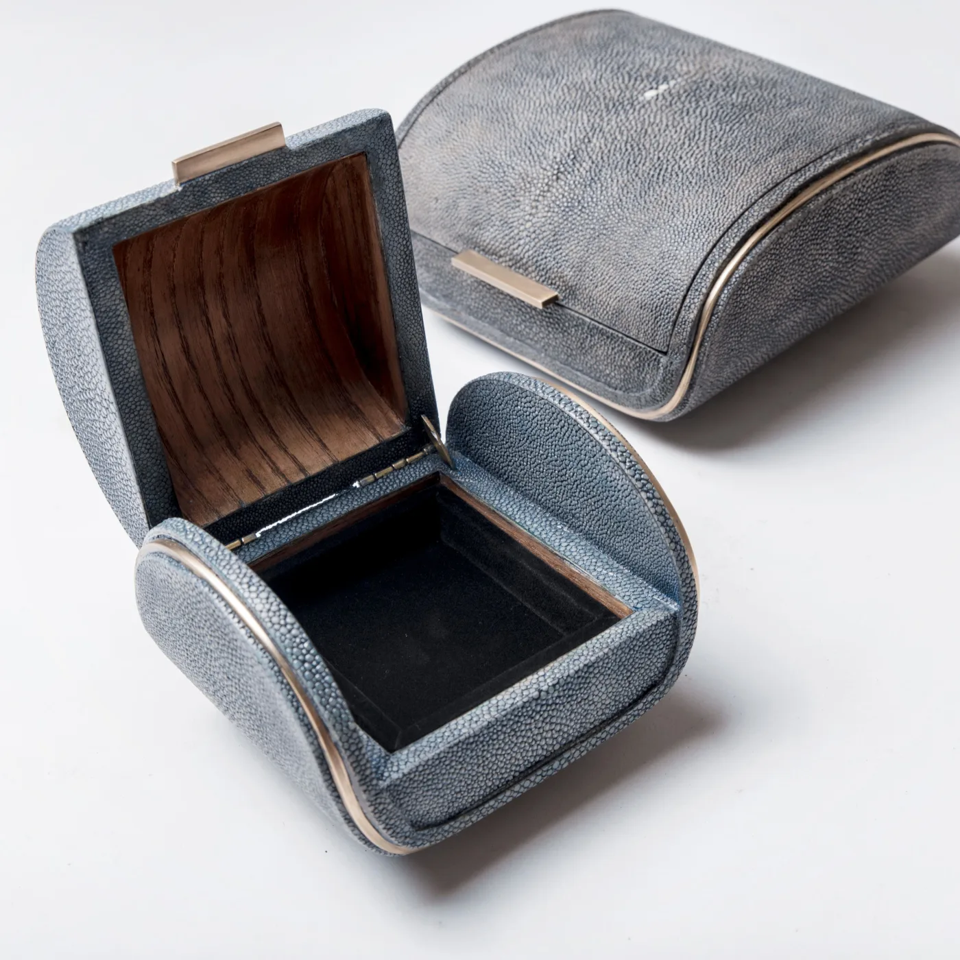 Shagreen Box with Bronze Patina Brass Details