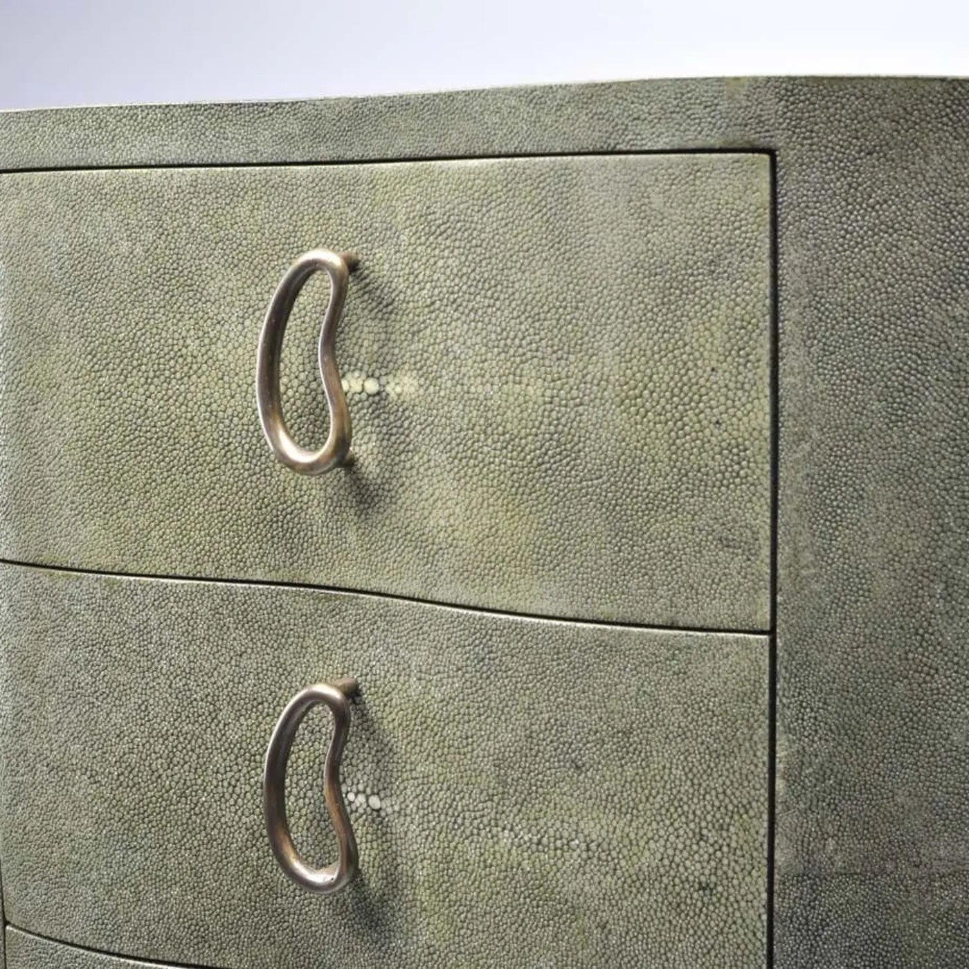 Shagreen Cabinet Stelar With An Organic Shape