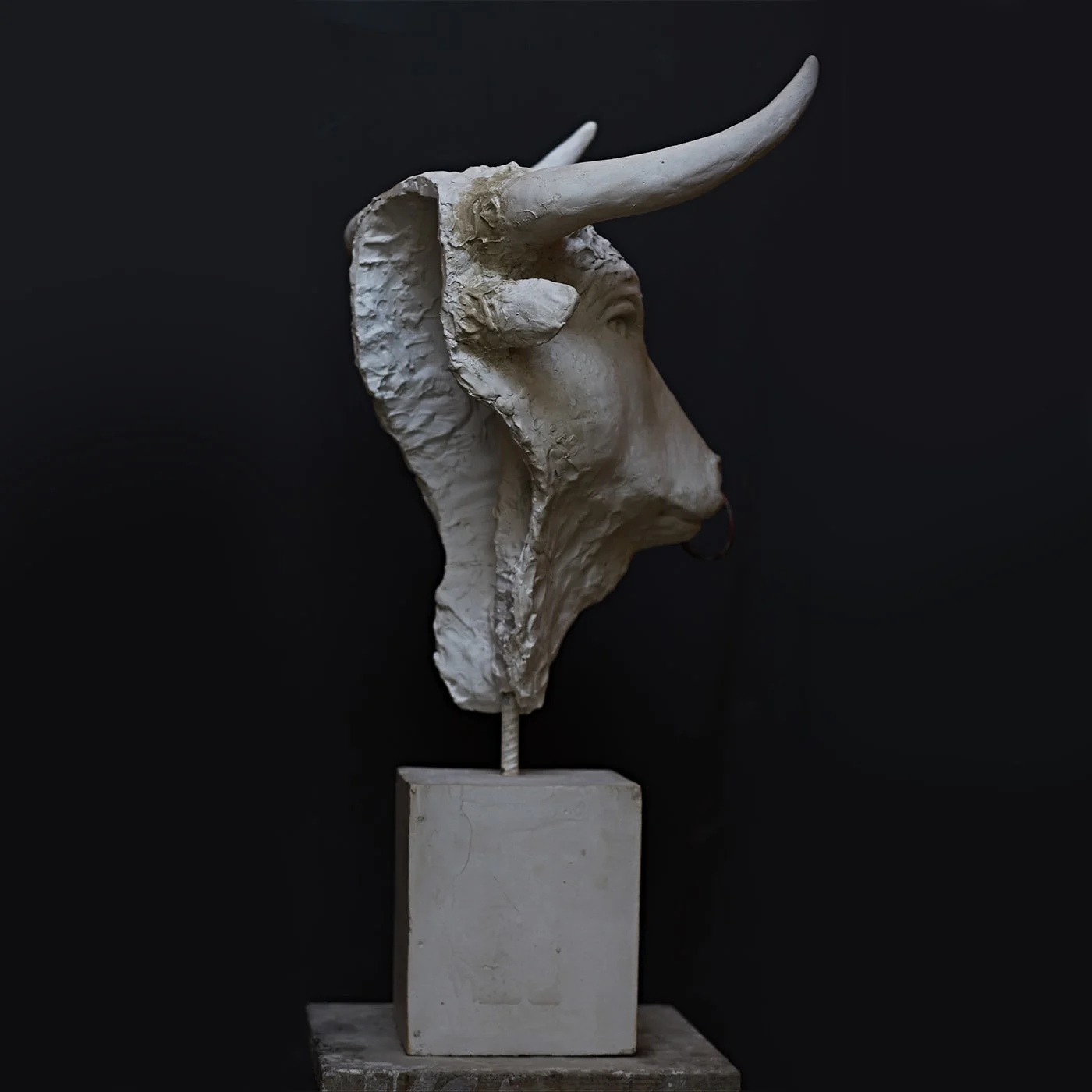 product thumbnail image