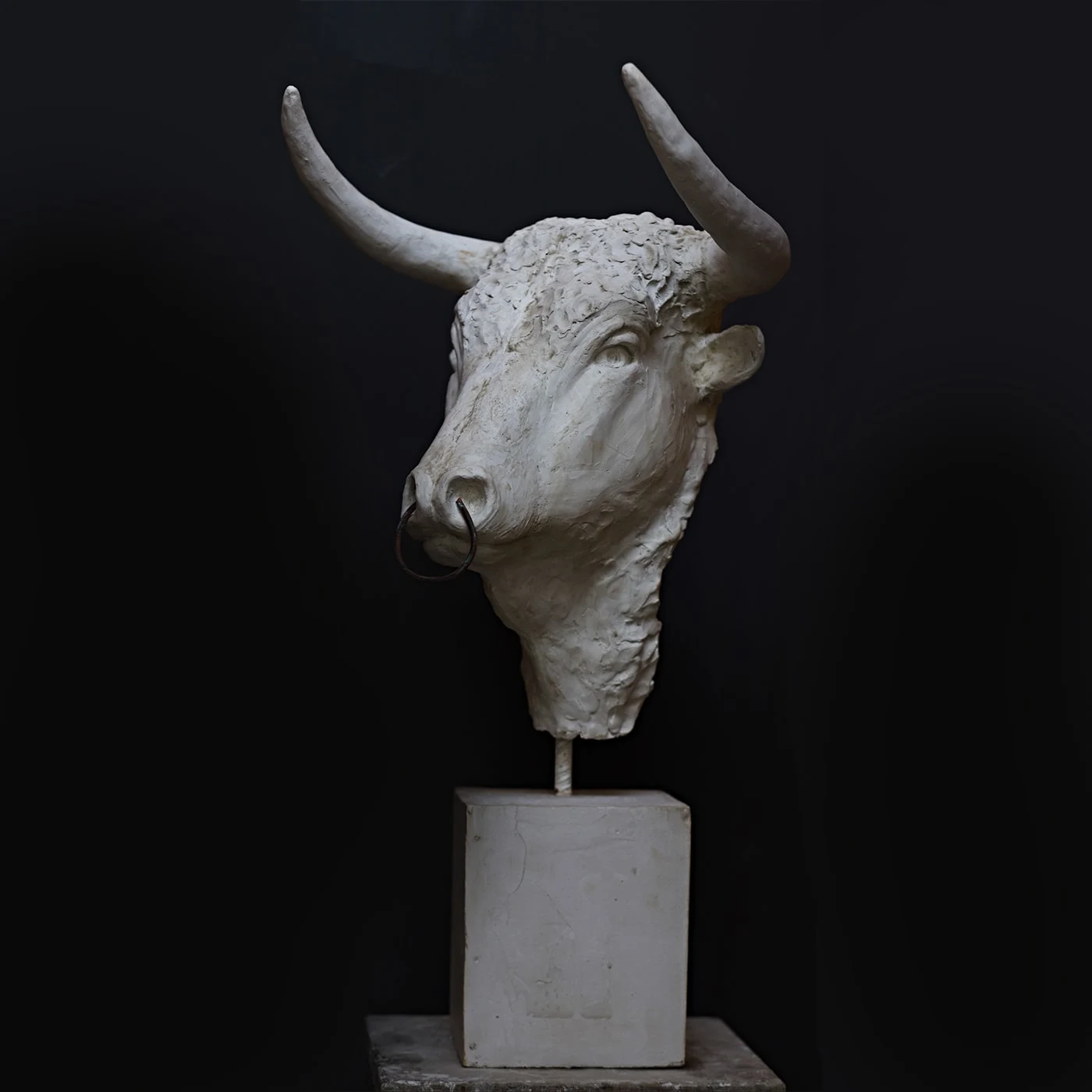 product thumbnail image