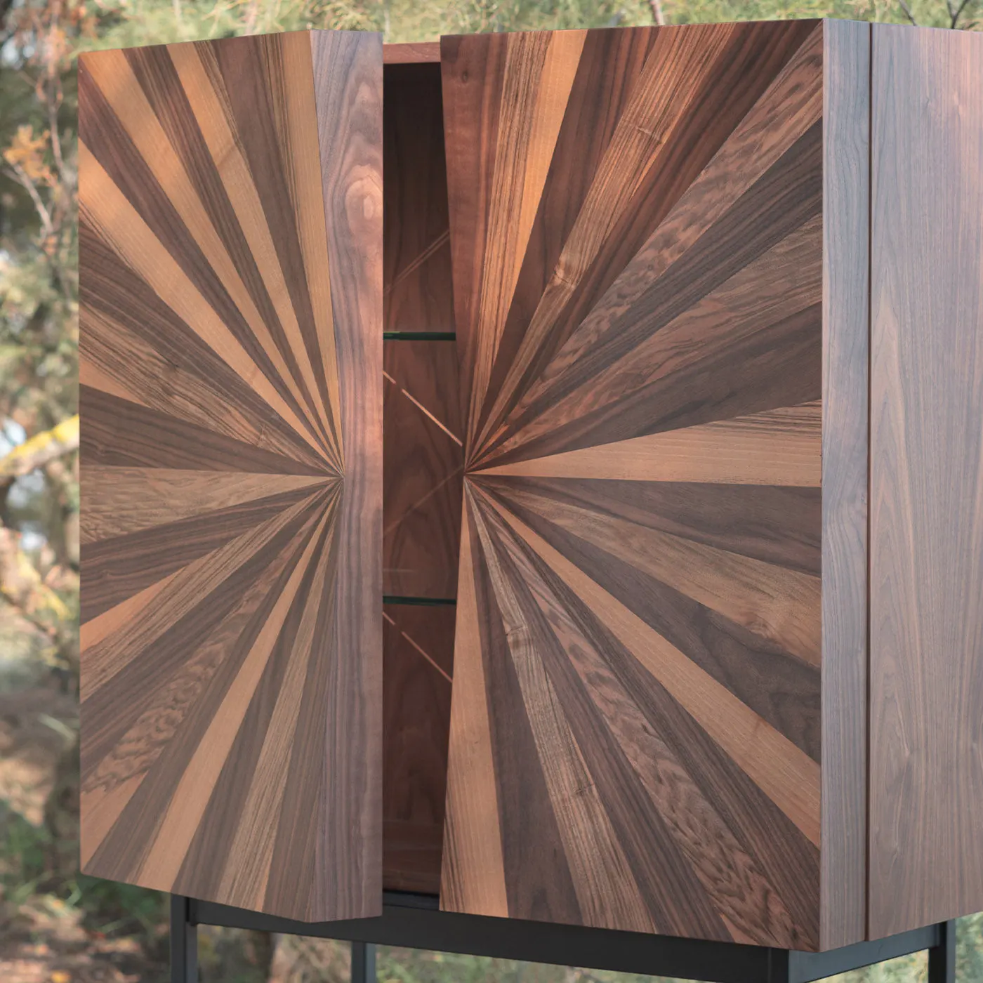 Veneered Wood Cabinet