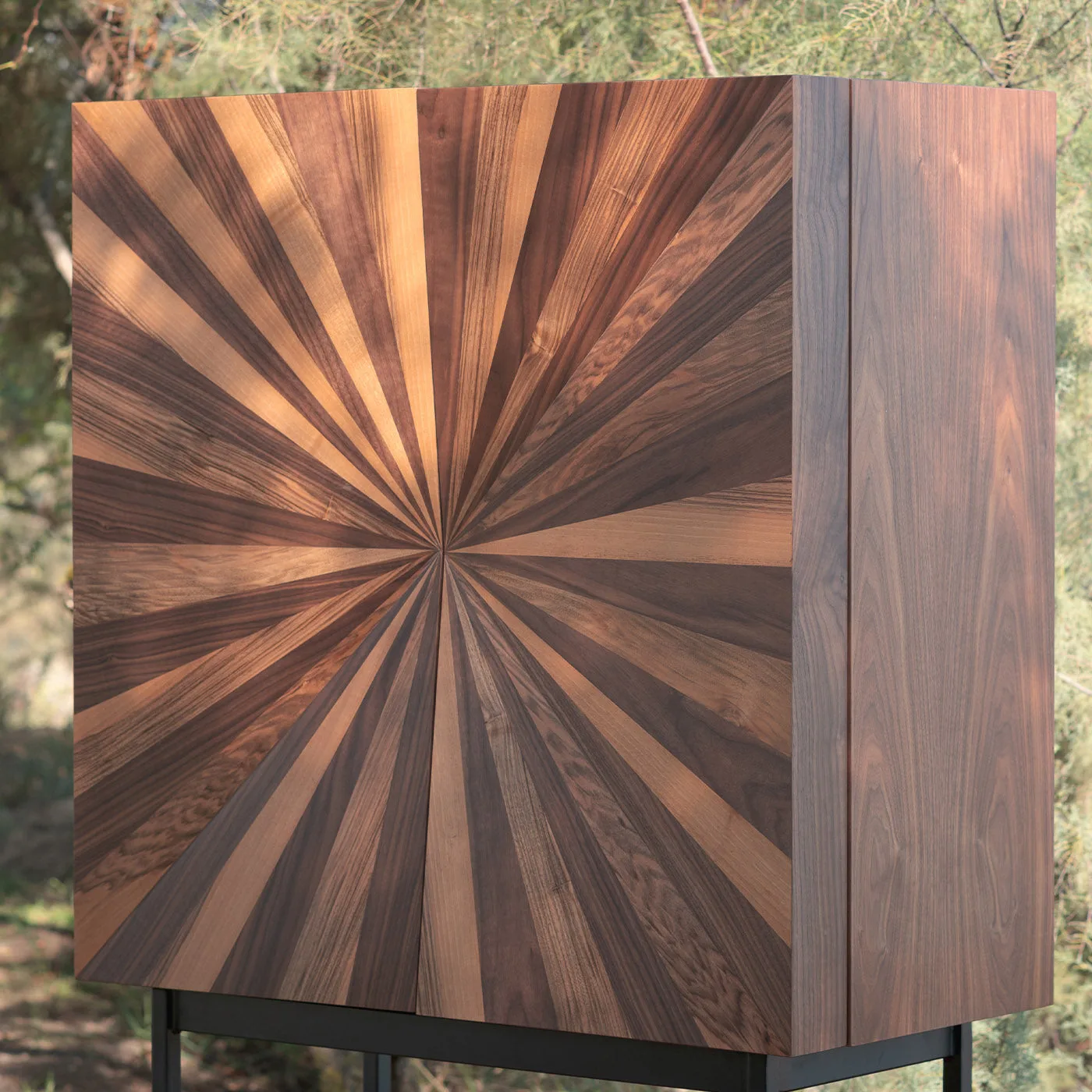 Veneered Wood Cabinet