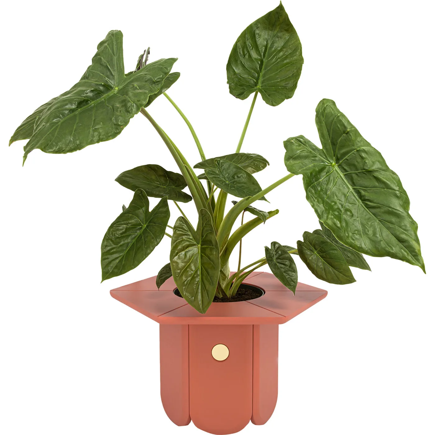 product thumbnail image