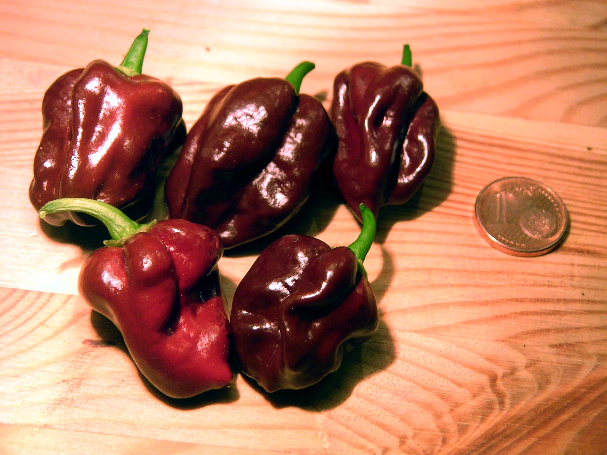 Paprika "Habanero"
