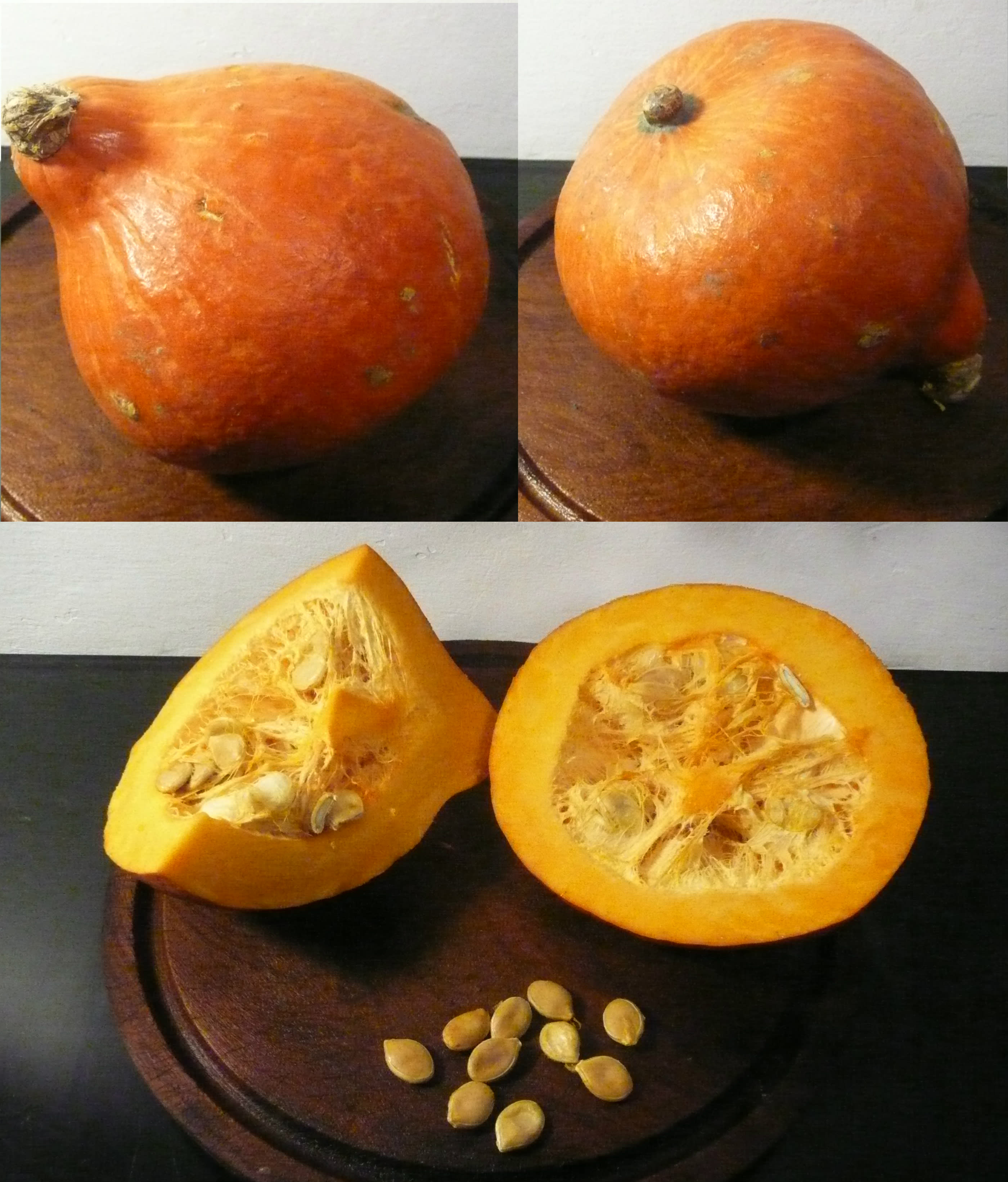 Raudonasis Kuri moliūgas (Hokaido moliūgas)