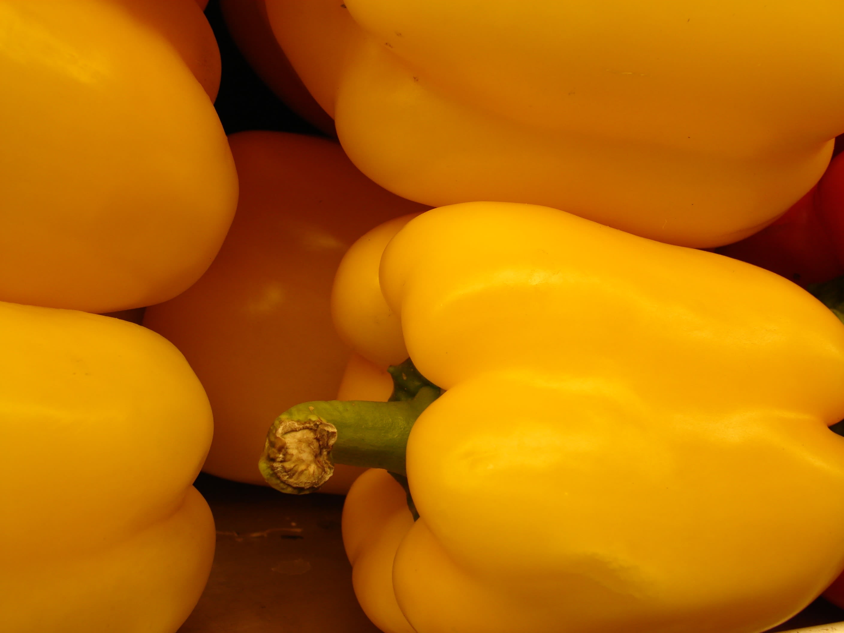 Geltonoji paprika (Geltonasis varpelis)