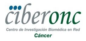 Ciberonc