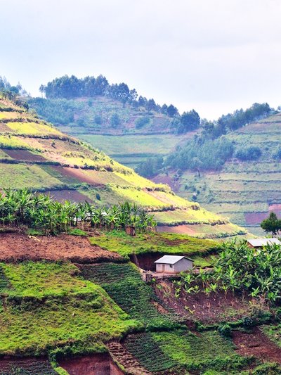 Burundi, mastering the world's assistant