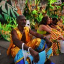 O complexo de vira-lata