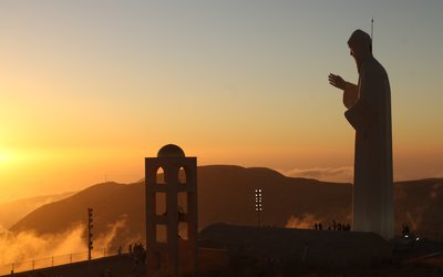 A tale of two cedars