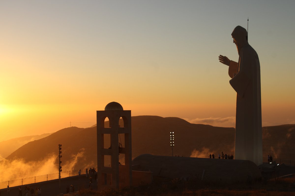 A tale of two cedars
