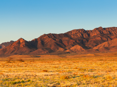 En panoramaudsigt over Flinders Ranges, Australien
