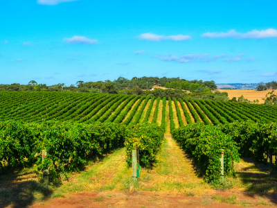 Barossa