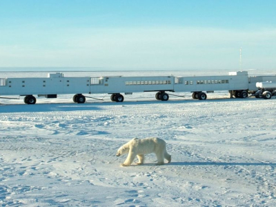 Canada - Tundra Buggy - Frontiers North (6).jpg