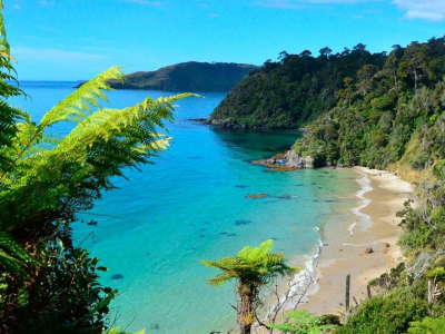 New Zealand - South Island - Steward Island - Rakiura.jpg