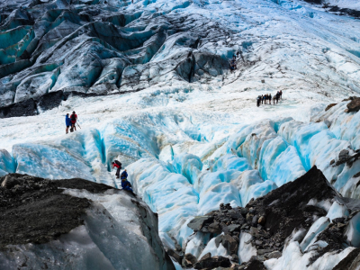 Resa till Franz Josef och Fox glaciärerna!