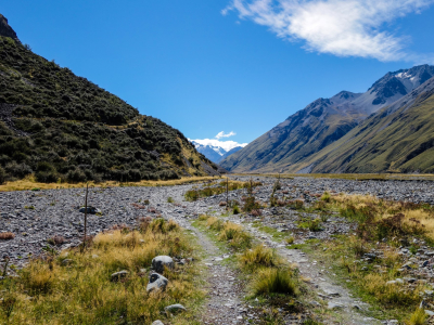 New Zealand - sydøen - Mcaulay Valley