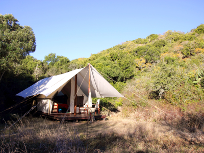 Sydafrika - Amakhala Game Reserve - Quatermains Camp 50