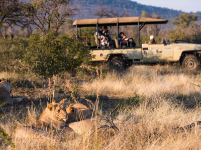 Sydafrika - Madikwe - Thakadu River Camp6