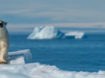 Resor till Arktis med MyPlanet Resor
