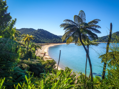 abel tasman 1.jpeg