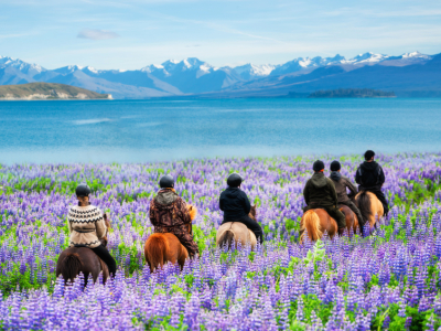 Eksklusivt og unikt i New Zealand