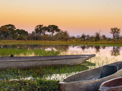 5 anledningar att besöka Botswana under den gröna säsongen